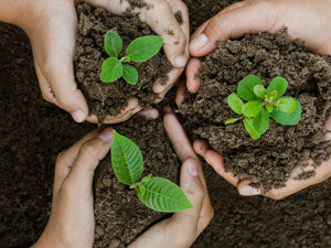 Summer Garden Camp: Growing in Faith and Nature (rising 1st-3rd) 2025
